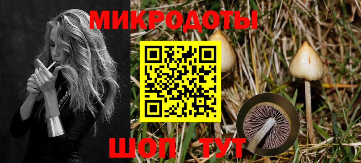 Вышний Волочёк  Псилоцибиновые грибы Psilocybine cubensis  Вход с VPN 