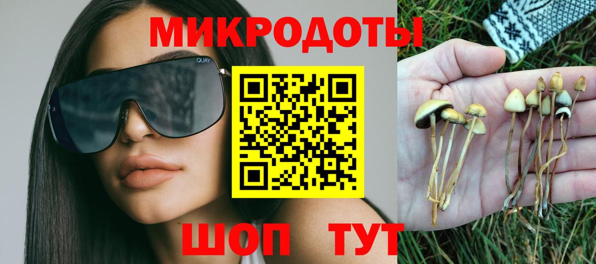 Псилоцибиновые грибы Psilocybine cubensis Вышний Волочёк